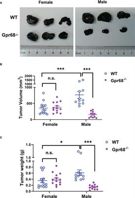 G protein-coupled receptor GPR68 inhibits lymphocyte infiltration and contributes to gender-dependent melanoma growth
